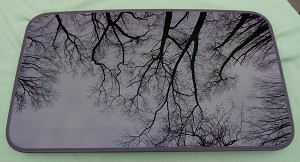 2012 - 2016 BMW 328i SEDAN SUNROOF GLASS 54-10-7-266-209; 54107266209 