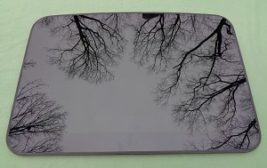2003 CHEVY TRAILBLAZER SUNROOF GLASS 