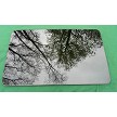 1996 - 1999 MERCEDES BENZ E300 OEM FACTORY SUNROOF GLASS 210-780-02-21 