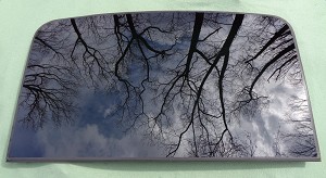 2013 - 2019 FORD ESCAPE FRONT SUNROOF GLASS CJ5Z-78500A18-A; CJ5Z78500A18A 