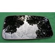 2012 FORD FOCUS SUNROOF GLASS CM5Z54500A18A 